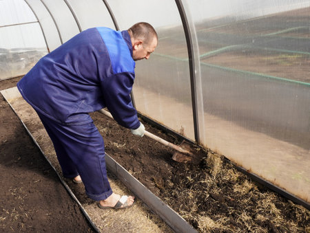 A man works in a vegetable garden in early spring. Digs the ground. working in a greenhouseの写真素材