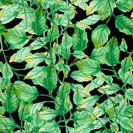 watercolor drawing, seamless pattern with green leaves and twigsの写真素材