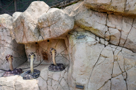 Singapore, Singapore - November 12, 2023: Sentosa Island amusement park Universal Studios Singapore