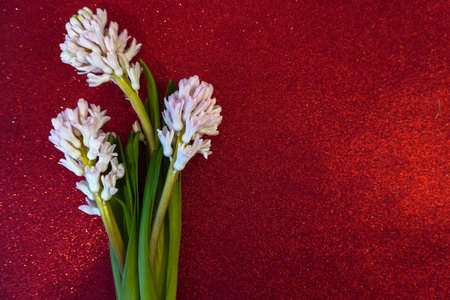 International Women's Day March 8! Flat Lay, banner, greeting card with flowers from March 8. place for textの写真素材