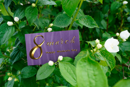 International Women's Day March 8! Flat Lay, banner, greeting card with flowers from March 8.の写真素材