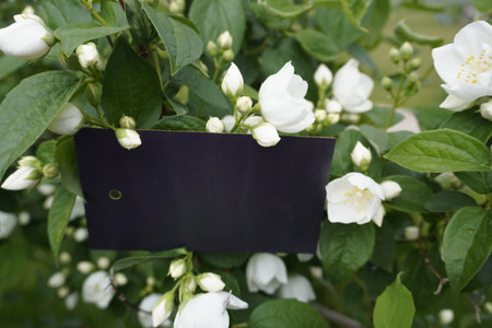 Card, banner, congratulations on Mothers Dayの写真素材