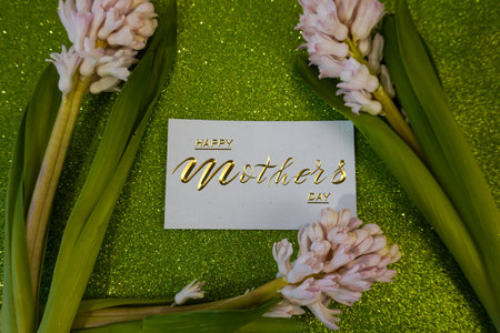 Card, banner, congratulations on Mothers Day, flowers hyacinthsの写真素材