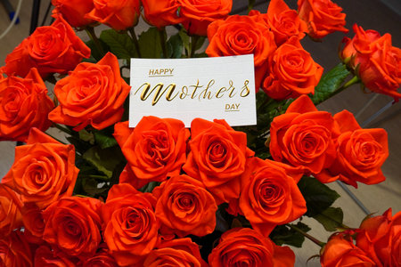 Happy mother's day! Card, Banner, flyer, Congratulations on Mother's Day, Bouquet of rosesの写真素材