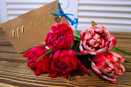 Happy mother's day! Card, Banner, flyer, Congratulations on Mother's Day, Bouquet of tulipsの写真素材