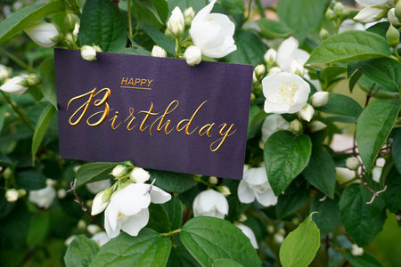 postcard, Internet banner, flat lay with a birthday greeting, with the inscription - happy birthdayの写真素材