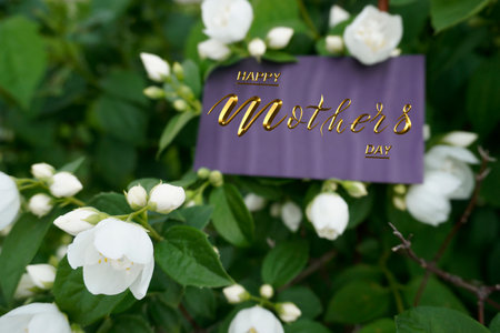 Card, banner, congratulations on Mothers Dayの写真素材