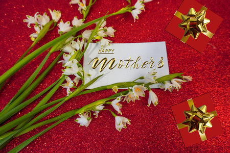 Card, banner, congratulations on Mothers Day, snowdrop flowersの写真素材