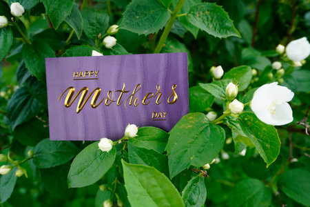 Card, banner, congratulations on Mothers Dayの写真素材
