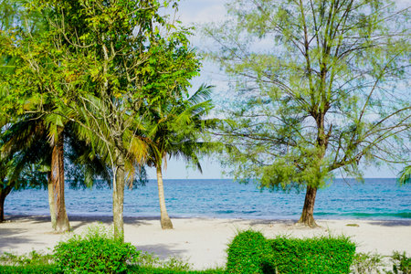 Beach in Sihanoukville. Palm trees and blue seaの写真素材