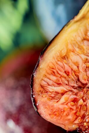 Fresh juicy fig fruit. Macro half a fig. Shallow depth of field. Toned image. Blurry background. Copy space. Art photography. Closeupの写真素材