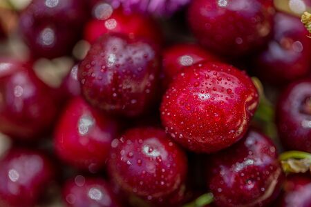 Macro image of red cherries and green leaves. Natural background of summer sweet fruits. Shallow depth of field.  Copy space. Closeup.の写真素材