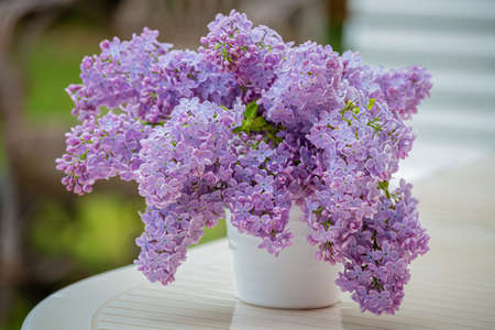 Lilacs syringa of bouquet in a white ceramic vase on a white table in rainy weather. Blurry background. Copy space.の写真素材