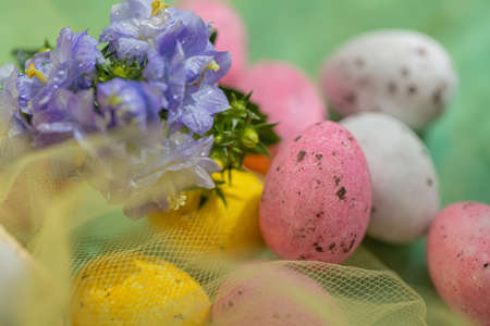 Easter sweet, pink, yellow eggs in a transparent yellow cloth and beautiful purple flowers with water drops. Religious holiday.の写真素材