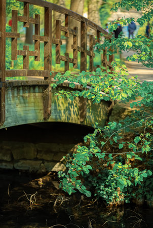 Old wooden brown bridge over the river in the spring time of a sunny day in the city park. Green bush branches. Shallow depth of field.の写真素材
