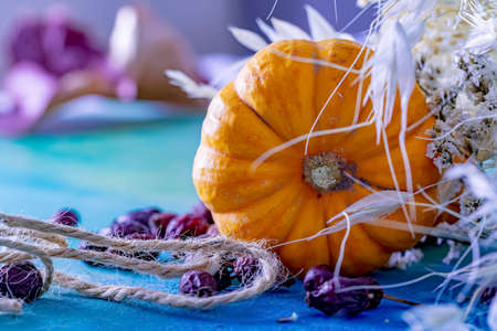 Orange pumpkin and dried berries with rope and dry white herbs on a blue wooden surface. Shallow depth of field. Toned image.の写真素材