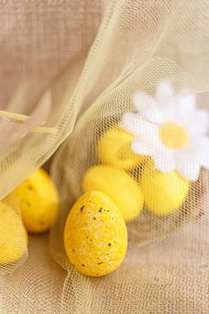 Sweet yellow eggs with spots in a transparent cloth and a blurred background. White chamomile. Greeting cards for Easter.の写真素材