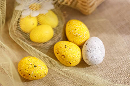 Sweet yellow, white eggs with spots in a transparent cloth and a blurred background. Greeting cards...