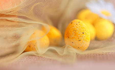 Greeting cards for Easter, print and poster. Holiday concept. Yellow eggs in a transparent cloth. Flower chamomile.の写真素材