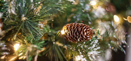 Christmas background with pine branch and beautiful colored shiny bokeh. Pine cone. Banner New Years. Shallow depth of field.の写真素材