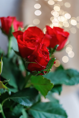Close-up of beautiful red roses with water drops and blurred background with white, yellow bokeh. Shallow depth of field. Copy spaceの写真素材