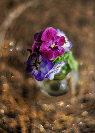Top view of small bouquet of pansy flowers in a glass vase on a blurred background with yellow bokeh. Shallow depth of field.の写真素材