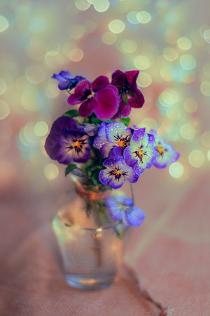 Beautiful small bouquet of pansy flowers in a glass vase on a blurred background with colorful bokeh. Shallow depth of field.の写真素材