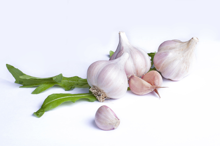 Garlic on a white backgroundの写真素材