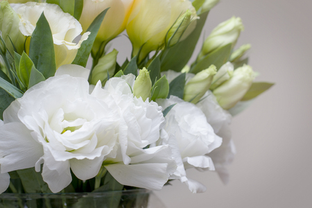 Beautiful white Lisianthus flowers look so much alike rosesの写真素材