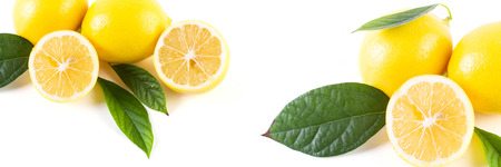 Lemons with leaves on a white background. Fresh lemons on a white background.の写真素材