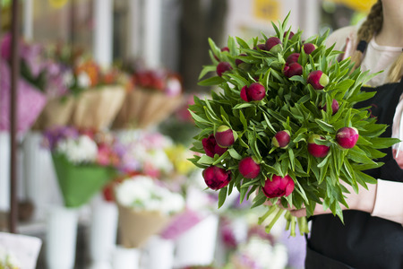 Three dark pink peonies flowers in a vase indoors. Spring flowers. A bouquet of red peonies in the hands of a girl.の写真素材