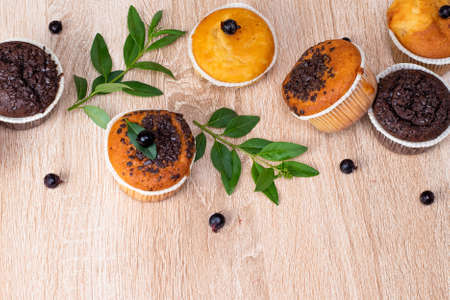 Chocolate muffin and nut muffin, homemade bakery on dark background. Muffin with blueberries on a wooden table. Fresh berries and sweet pastries on the board.の写真素材