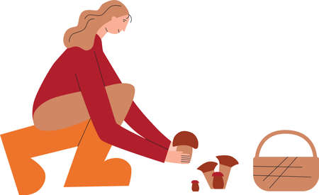 Girl picking mushrooms. Template for autumn flat illustration. Vector stock flat isolated on white background.のイラスト素材
