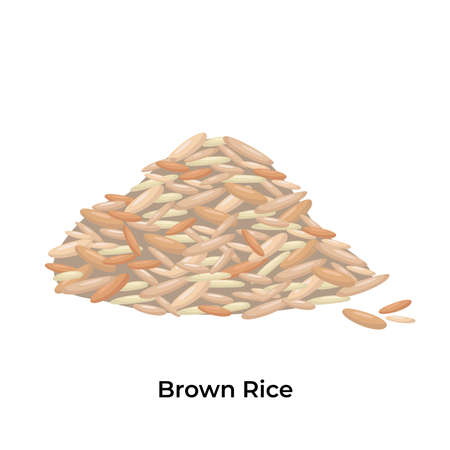 Brown rice. Vector stock illustration isolated on white background for packaging, menu design Asian cuisine. Realistic traditional dish in cartoon style.のイラスト素材