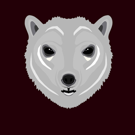 Grey fur polar bear head