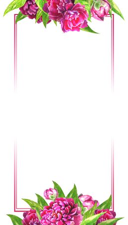 dark pink peonies on white rectangular background greeting card invitation templateの写真素材