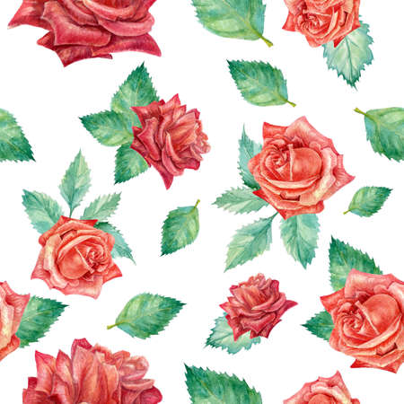watercolor pattern of roses on a white background with green leavesの写真素材