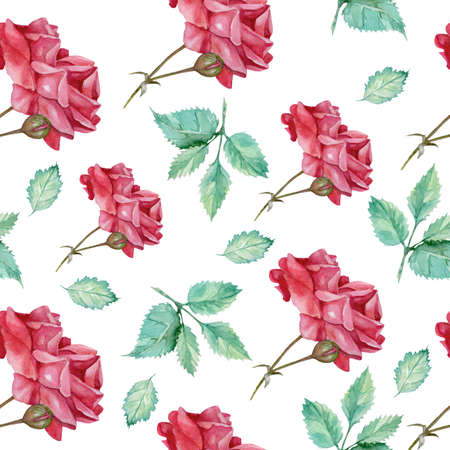 pattern with watercolor scarlet roses on a white backgroundの写真素材
