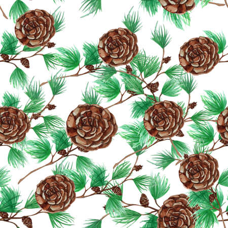 beautiful watercolor cones and fir branches pattern on a white backgroundの写真素材