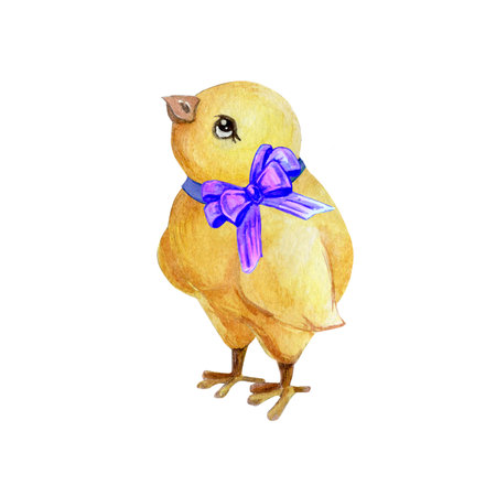 yellow watercolor chicken with a bow easterの写真素材
