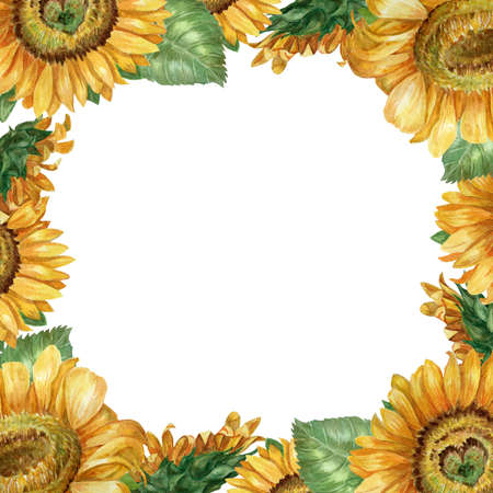 postcard with watercolor sunflowers on a white background for social networksの写真素材
