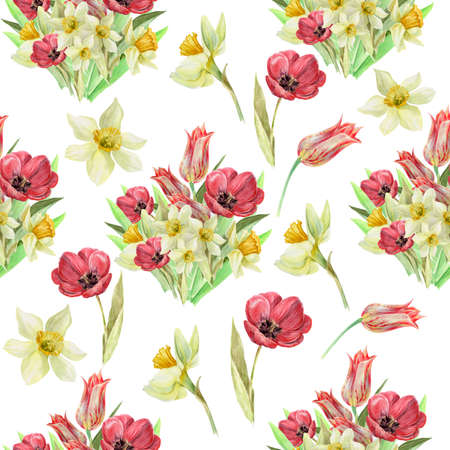 spring watercolor bouquet of tulips and daffodils for the holiday, pattern on a white backgroundの写真素材