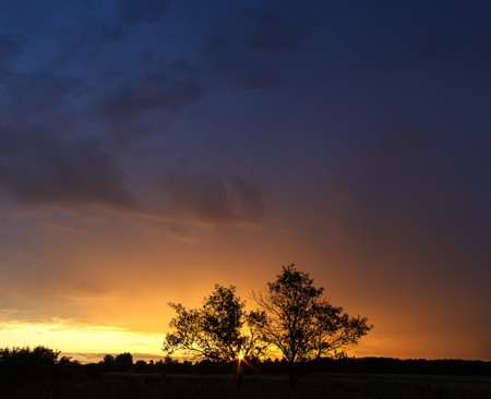Summer landscape of sunset with stormy sky and silhouettes of treesの写真素材