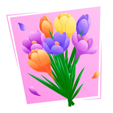 Bouquet of multicolored crocuses on a pink background. Isolated vector illustration for the design of postcards, clothing, textiles, banners and posters.のイラスト素材