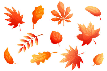 A set of colorful autumn leaves on a white background. Autumn foliage. Isolated vector illustration for the design of postcards, clothing, textiles, banners and posters.のイラスト素材
