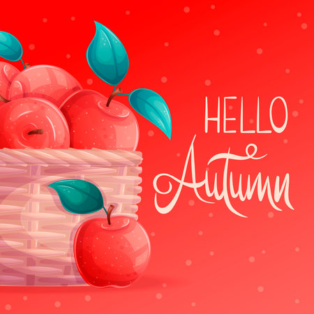 Square autumn postcard with juicy red apples in a wicker basket. "Hello autumn". Vector illustration for seasonal design of banners, posters and promotions.のイラスト素材