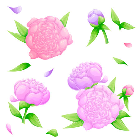 A set of crocuses of different colors on a white background., individual petals. Isolated vector illustration for the design of postcards, clothing, textiles, banners and posters.のイラスト素材