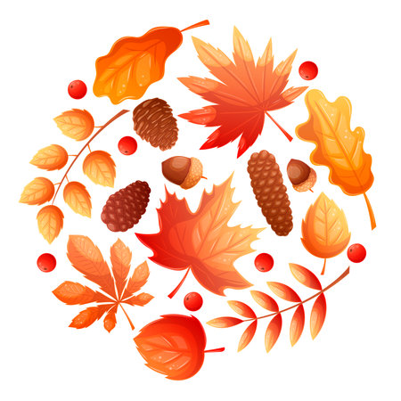 A set of colorful autumn leaves in the shape of a circle on a white background. Autumn foliage. Isolated vector illustration for the design of postcards, clothing, textiles, banners and posters.のイラスト素材