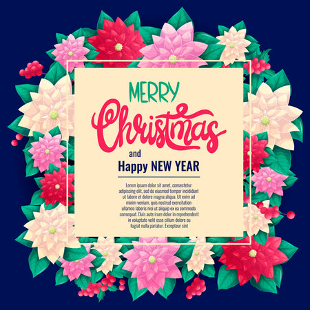 A colorful background for an invitation or greeting card for Christmas and new year. A traditional Christmas poinsettia plant on a blue background. Vector illustrationのイラスト素材