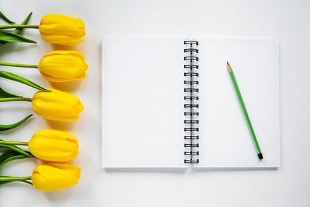 open notepad, pencil and yellow tulips on a white backgroundの写真素材